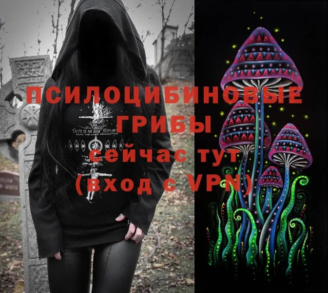 Галлюциногенные грибы Magic Shrooms  Вязники 