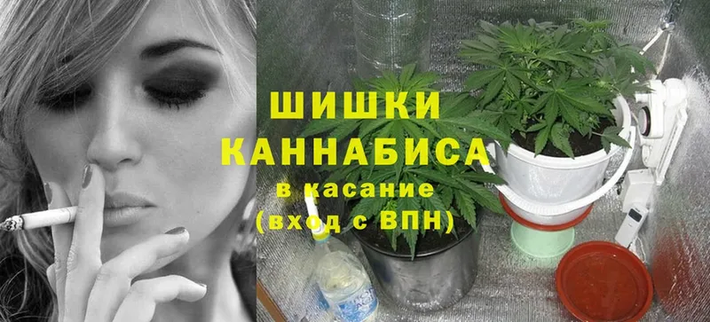 Шишки марихуана Ganja  Вязники 